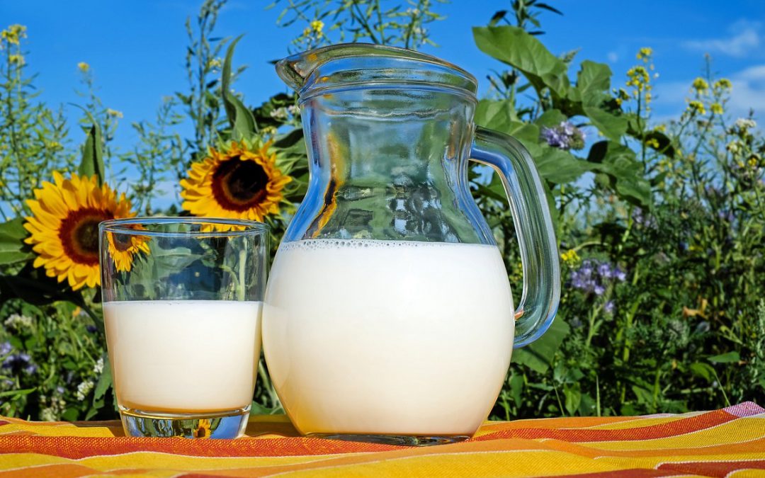 Yoghurt en melk, goed voor elk?