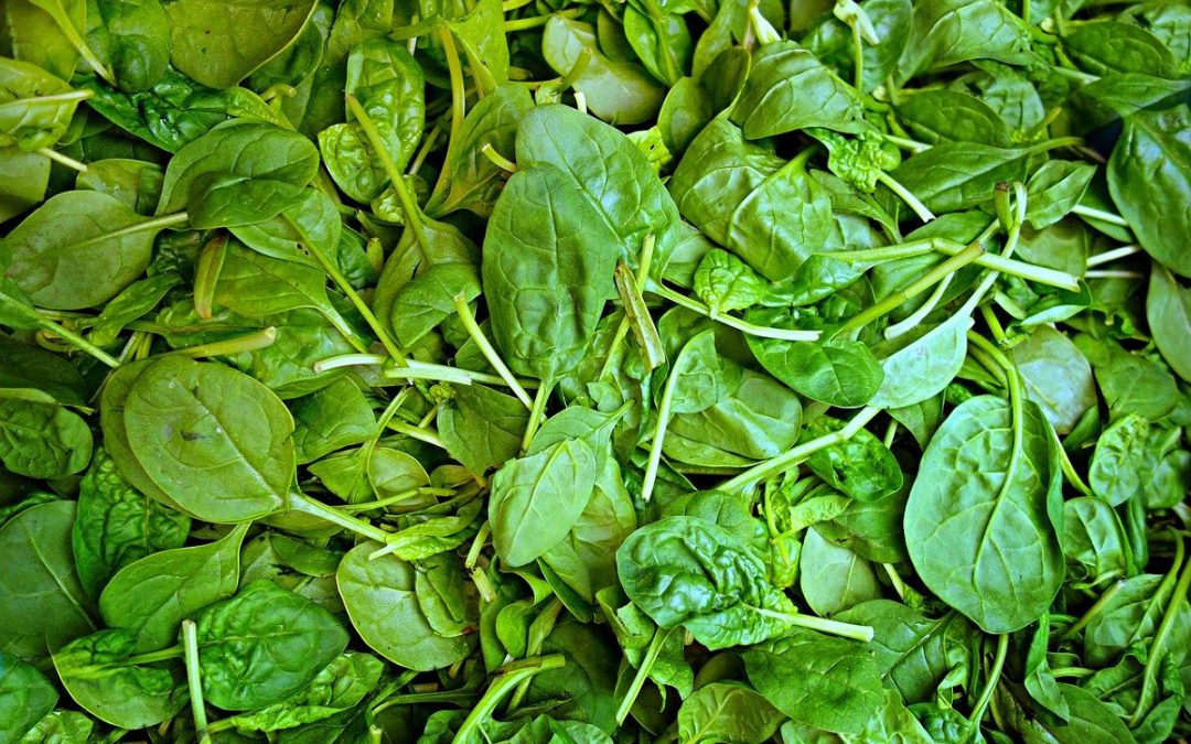 Help, ik heb een tekort aan ijzer!